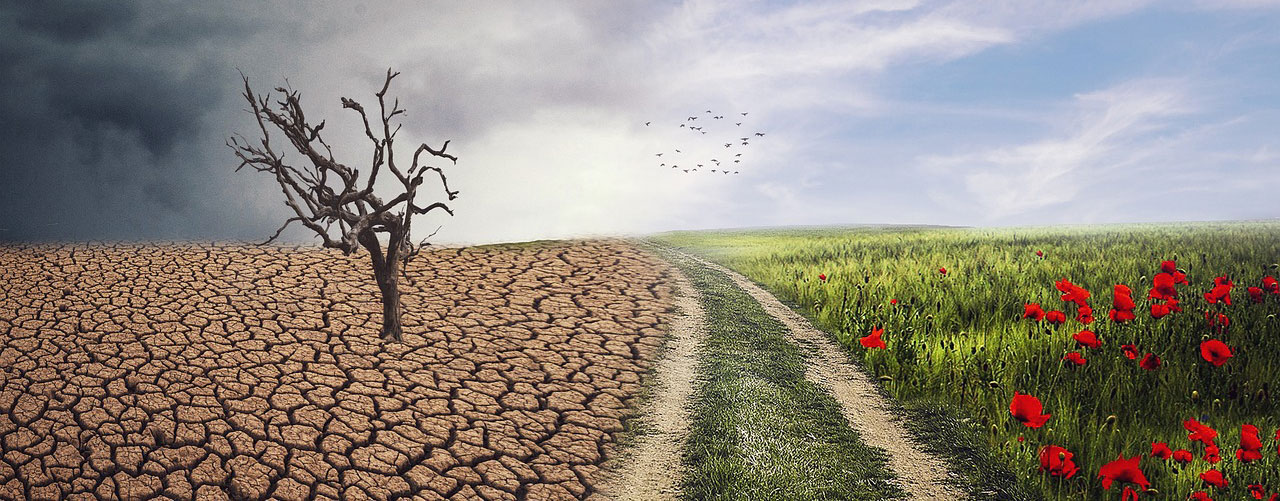 Izobraževanje za življenje skozi realno prakso