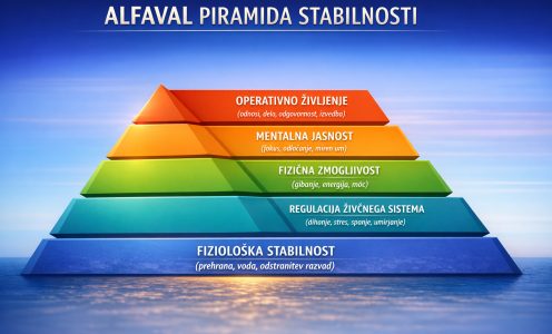 45 dnevni reset energija fokus